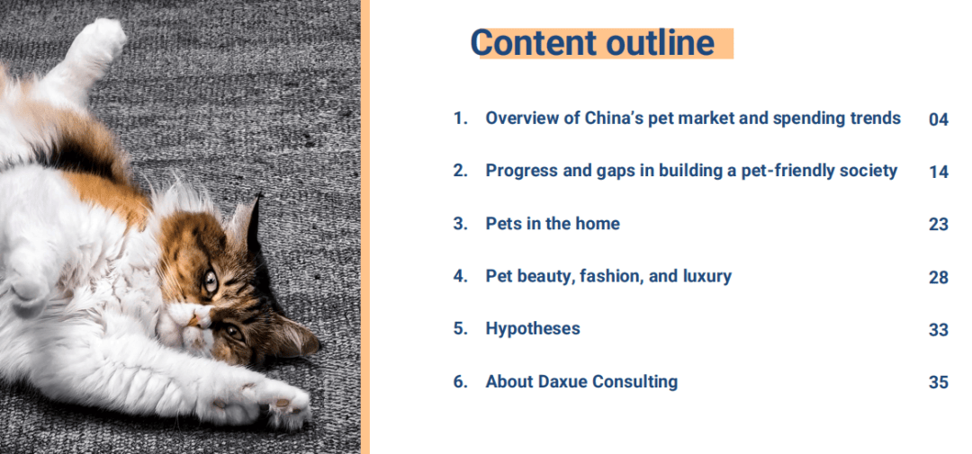 领域十大关键词深度分析开元棋牌app新消费(图8)