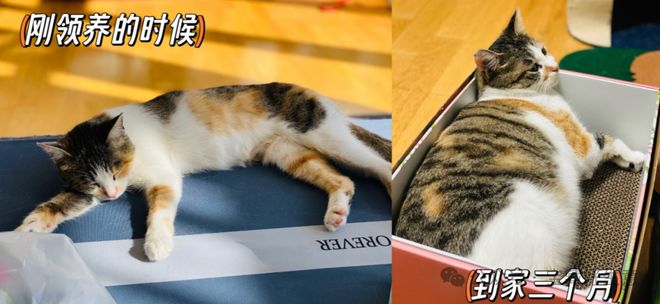 消费品从业者的五年创业思考开元棋牌网站深度 一个新(图1)