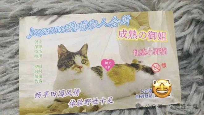 消费品从业者的五年创业思考开元棋牌网站深度 一个新(图3)