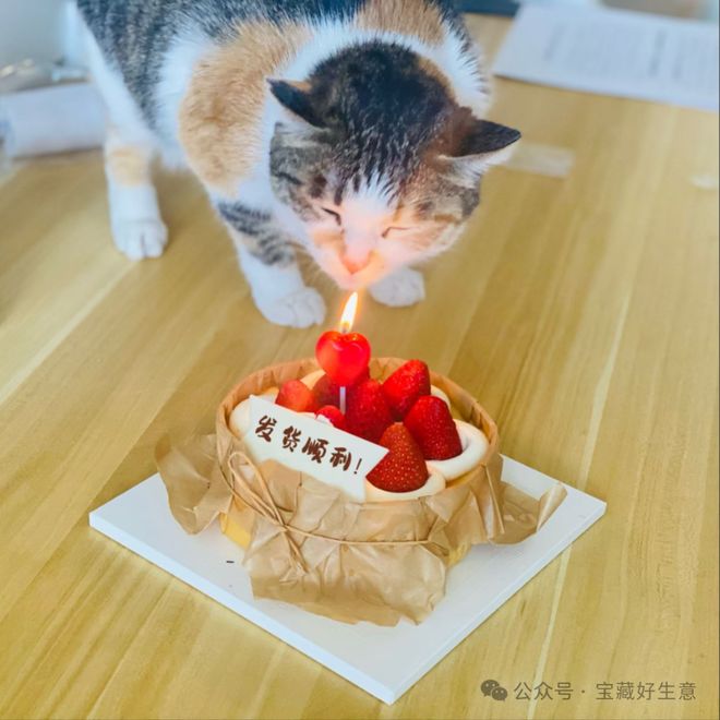 消费品从业者的五年创业思考开元棋牌网站深度 一个新(图8)