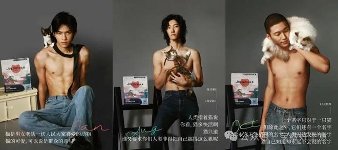 消费品从业者的五年创业思考开元棋牌网站深度 一个新(图11)